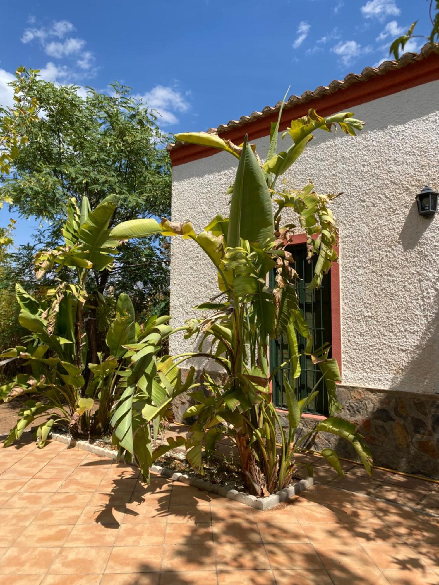 Real Fundicion De Alcora Villa Canjáyar Eksteriør billede